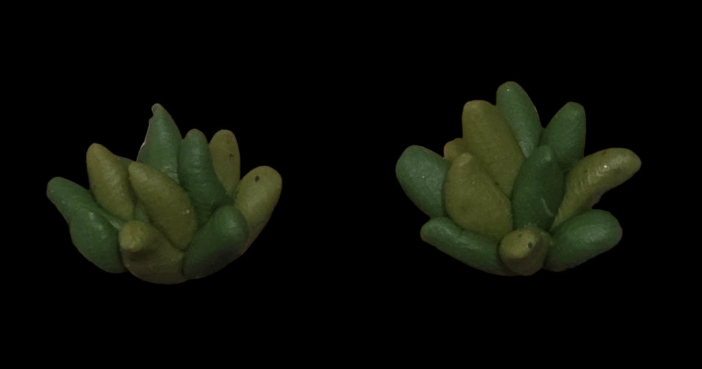 Succulent Stud Earrings!